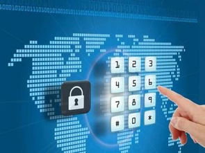 成都高新首創“自貿通” 融資、降費與網絡技術服務一體化解決方案